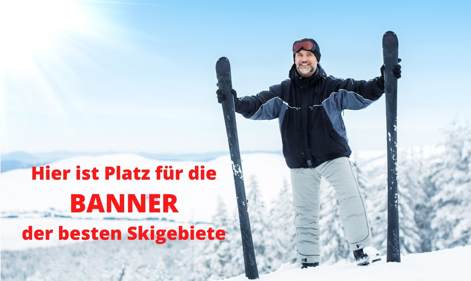 Die BANNER der besten Skigebiete.jpg