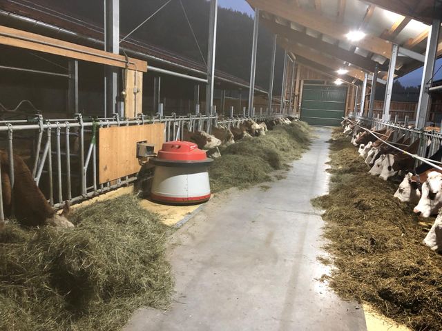 Stefflhof in Saalfelden