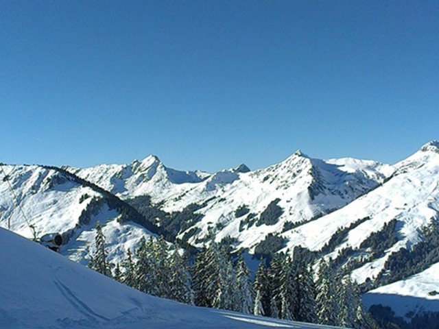 Ferienhaus Neureiter 