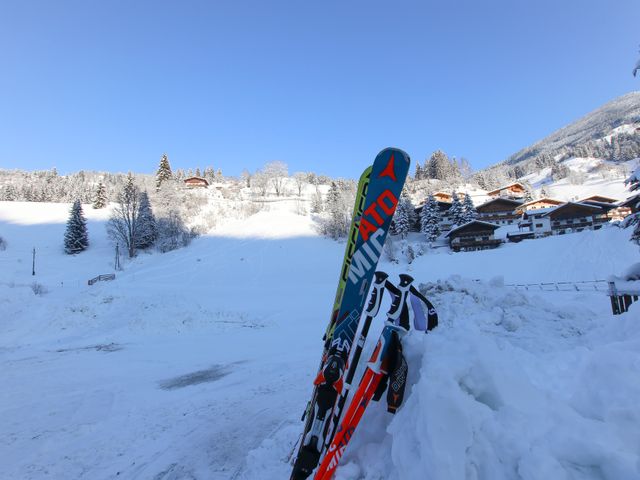 Ferienhaus Neureiter 