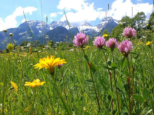 Zimmer Mühlpointhof in Lofer