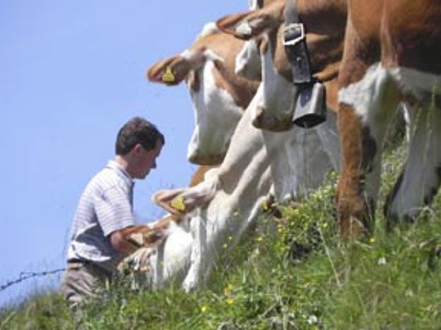 Ferien am Fuchsmooshof