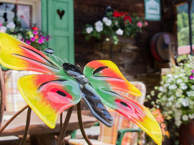 Traumbauernhof Leogang -  Albachhof