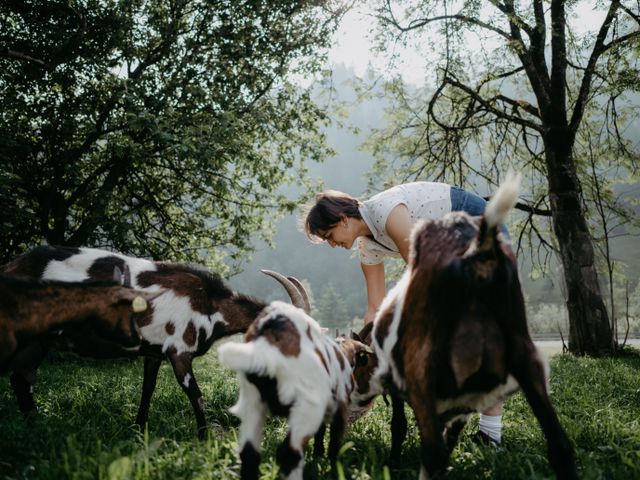 Biobauernhof Aubauer