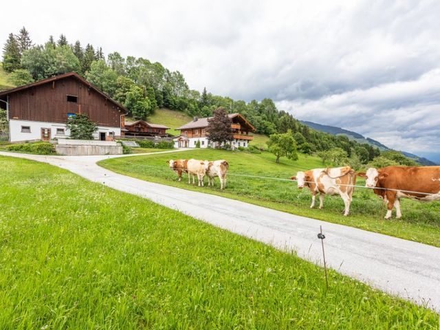 Widholzhof