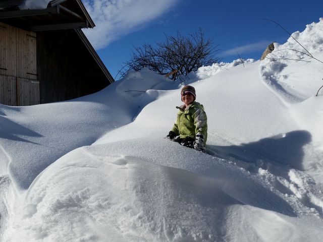 Ferienhaus Widholzhof