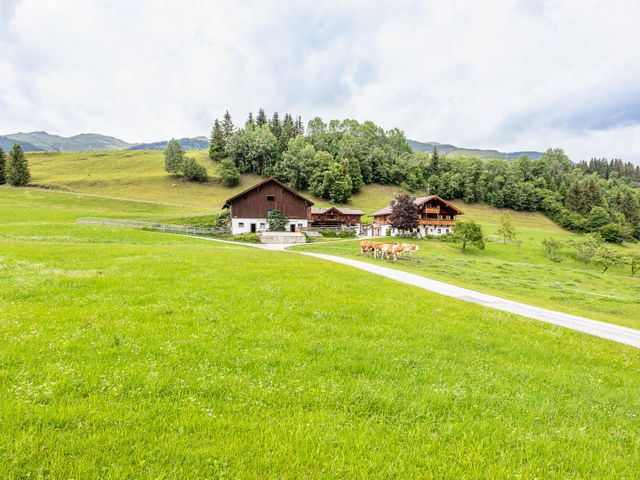 Ferienhaus Widholzhof