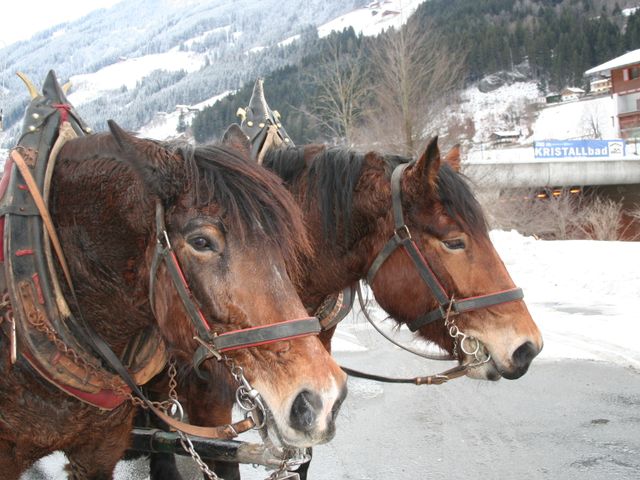 Chalet Descansa