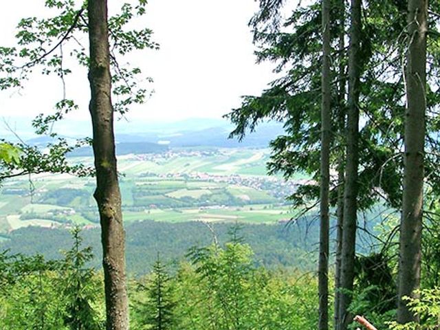 Hotel-Gasthof zum Bach